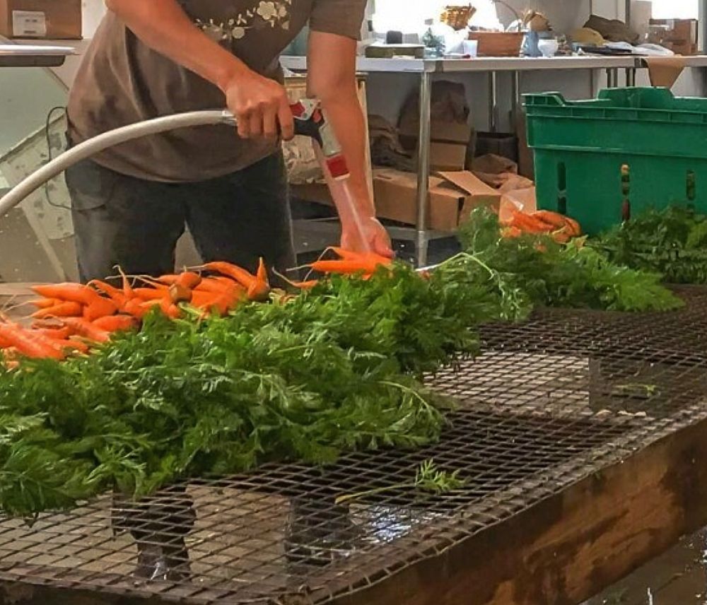 carrotwash